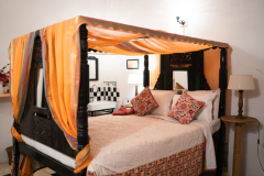 DSC01446-1 DSC01446-1