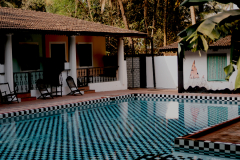 DSC01517-scaled-1 DSC01517-scaled-1