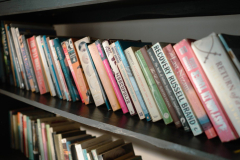 DSC01973-2 DSC01973-2